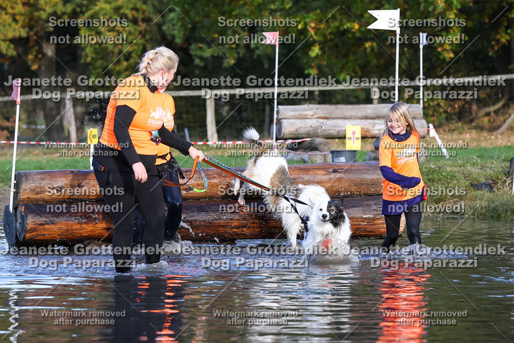 Dog Paparazzi - Strongdog 10-25-8567 | Dog Paparazzi Jeanette Grottendiek Fotografie & Videografie - Realisiert mit Pictrs.com