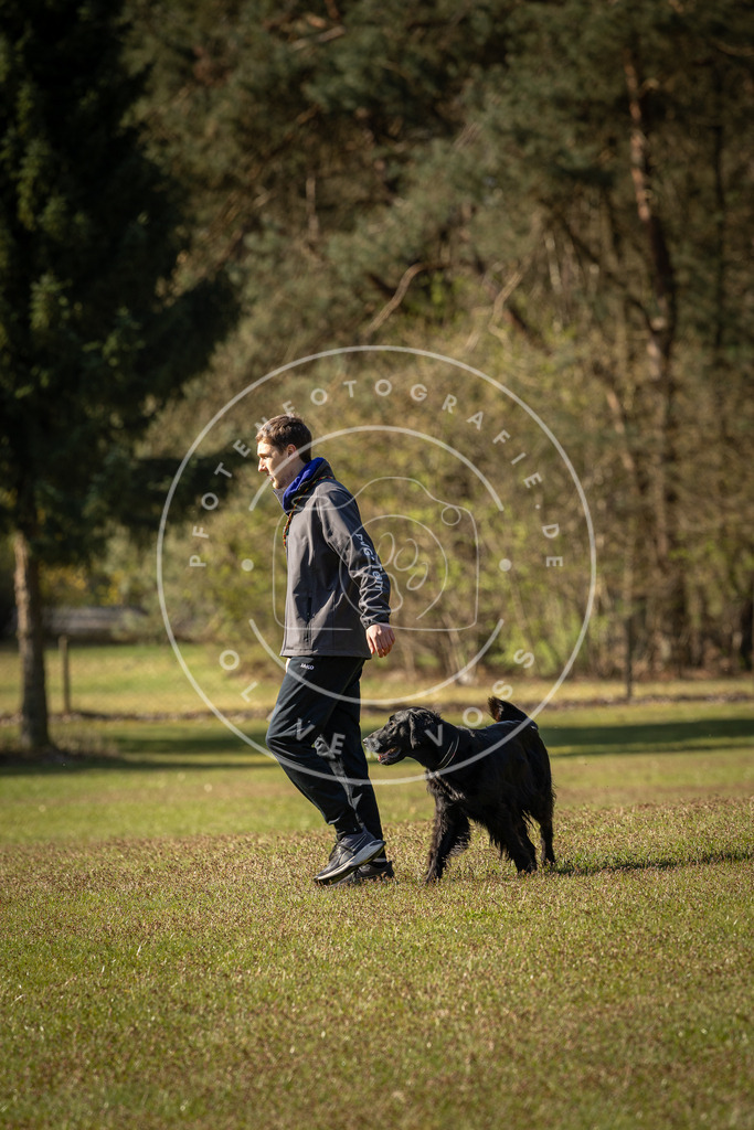 Pfotenfotografie_DV3A0146 | Hundefotografie, Tierfotograf, Pfotenfotografie, Fotoshooting Hund, Hunde Portrait, Hundesport, Hundeportraits, Heideshooting, Hunde, Sportfotograf, Hundefotograf, Turnierhundsport, THS,  - Realisiert mit Pictrs.com