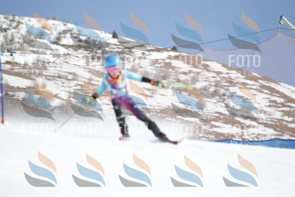 _U3G8905 | holidayphoto