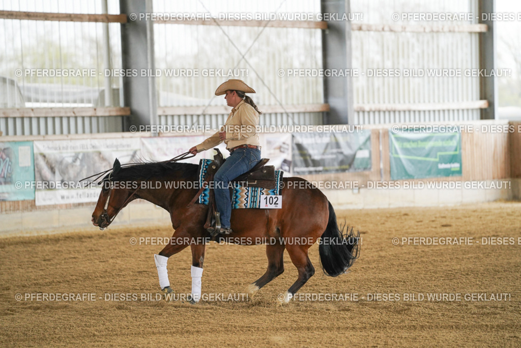 DSC07058 | Pferdegrafie