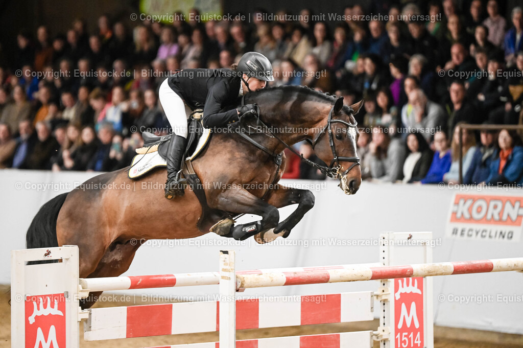 20260307_Hengstvorstellung-Marbach_0144 | equistock