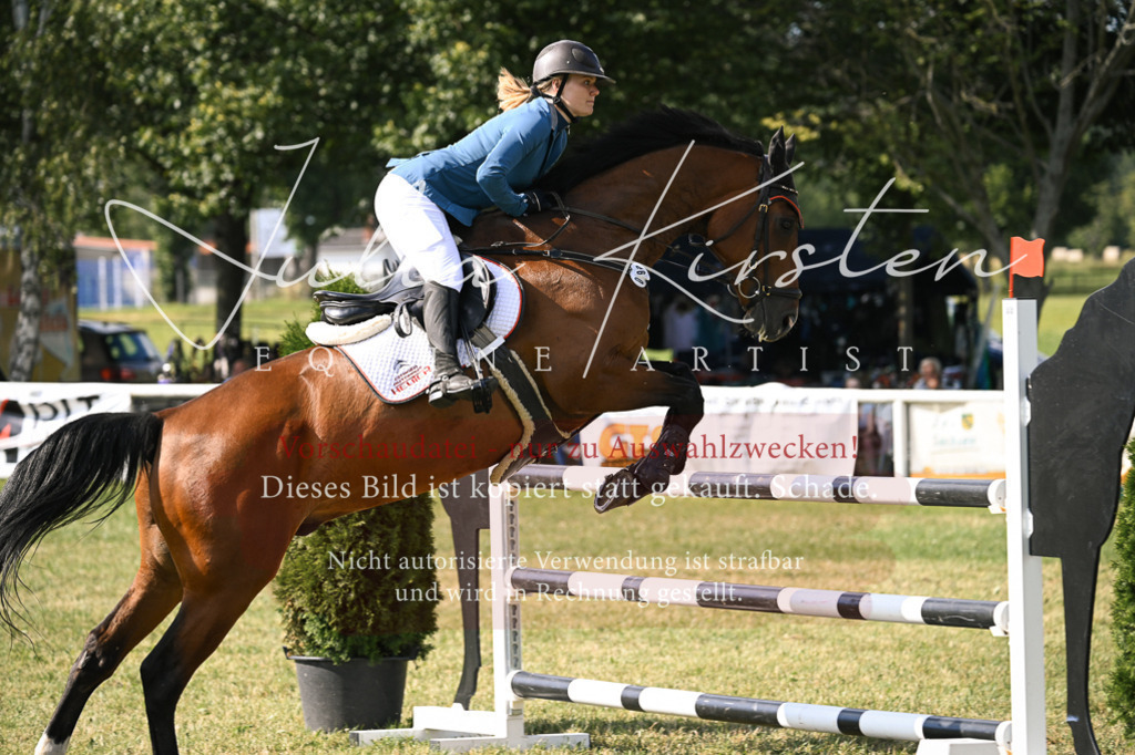 DSC_1132 | Pferde- und Turnierfotografie in Westsachsen. Pferdeportraits, Auftragszeichnungen und intuitive Kunst.