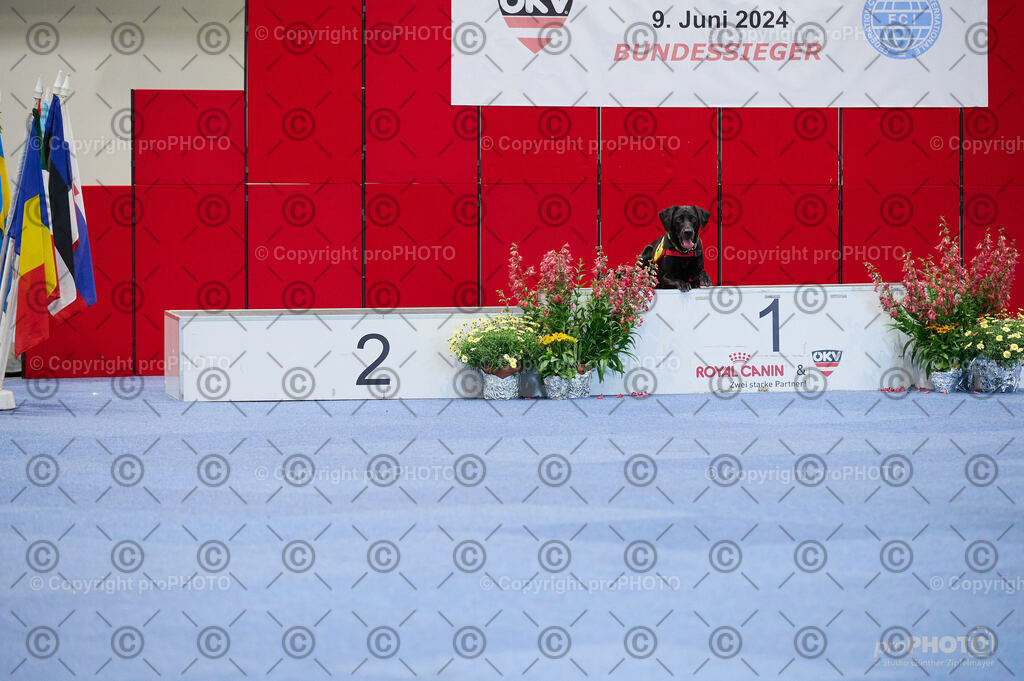 202406_ÖKV-IHA-Tulln24_DSC_4781 | proPHOTO - Realisiert mit Pictrs.com