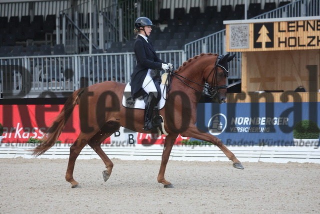 Donaueschingen_2024_Prfg.Nr.36_Einlaufprüfung_iWest-Cup_Romina Nieberle_Free Willy (3) | Alle Fotos der Reiterjournal Fotografin Doris Matthaes im Reiterjournal Online-Fotoshop. - Realisiert mit Pictrs.com