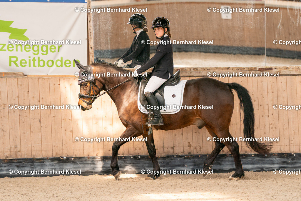 2A901661 | foto-team-bernhard - Realisiert mit Pictrs.com