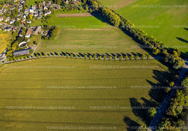 Bergkamen241006518Maiwald | Luftbild, dreieckige Baumgruppe auf einem Feld an der Lünener Straße, Acker, Feld, Baumgruppe, Landwirtschaft, Weddinghofen, Bergkamen, Ruhrgebiet, Nordrhein-Westfalen, Deutschland