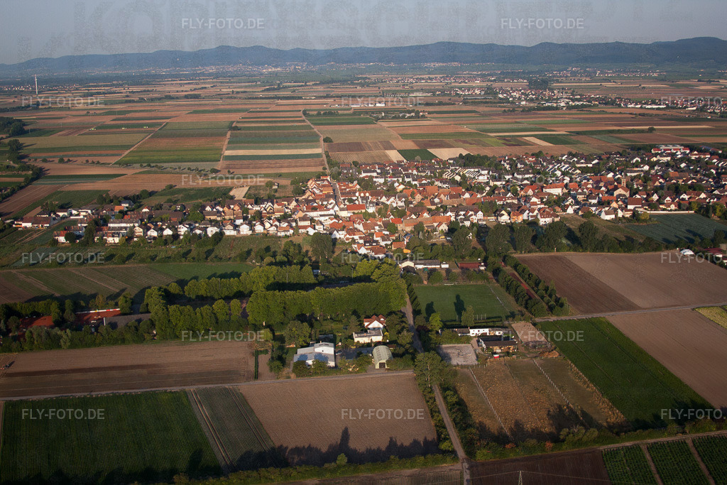 Ortsansicht von Osten | Luftbild: Ortsansicht von Osten im Ortsteil Dannstadt in Dannstadt-Schauernheim im Bundesland Rheinland-Pfalz in Deutschland. Foto: IMG_69550.jpg vom 04.07.2014 durch Werner Riehm/FLY-FOTO.de - Realisiert mit Pictrs.com