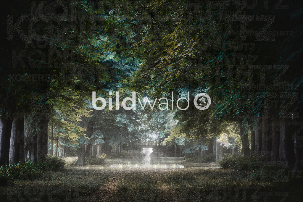 _A7_5850-Bearbeitet | BILDWALD - eine Auswahl an Bildern von Thomas Perrotton zum bestellen und genießen. Alle Bilder von Thomas Perrotton - Alle Bilder mit einer SONY Kamera gemacht - SONY TAMRON SIGMA PHOTOSHOP LIGHTROOM BILDWALD Online kaufen Bilderwald Wandbilder - Realisiert mit Pictrs.com