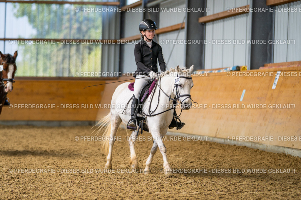 DSC02506 | Pferdegrafie