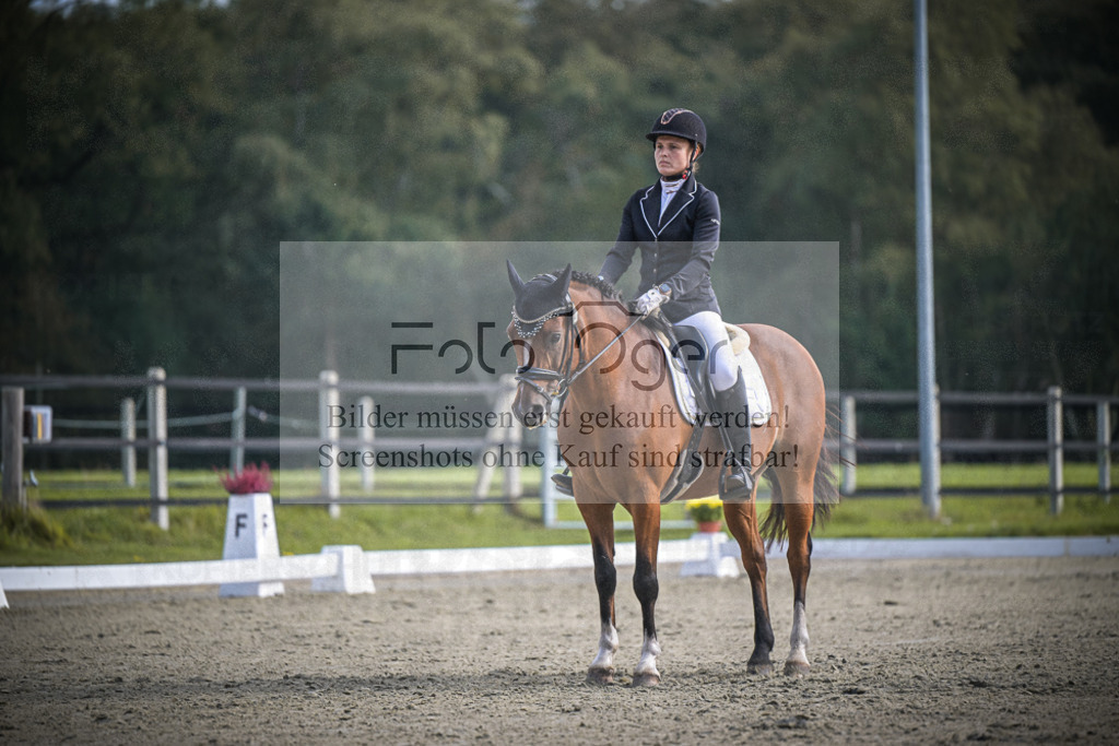 DOS_B735 | Entdecke hochwertige Reitturnierfotos von Foto Oger. Professionell, emotional und authentisch – jetzt Lieblingsmomente im Shop bestellen.Deutschlandweite Turnierfotografie. - Realisiert mit Pictrs.com