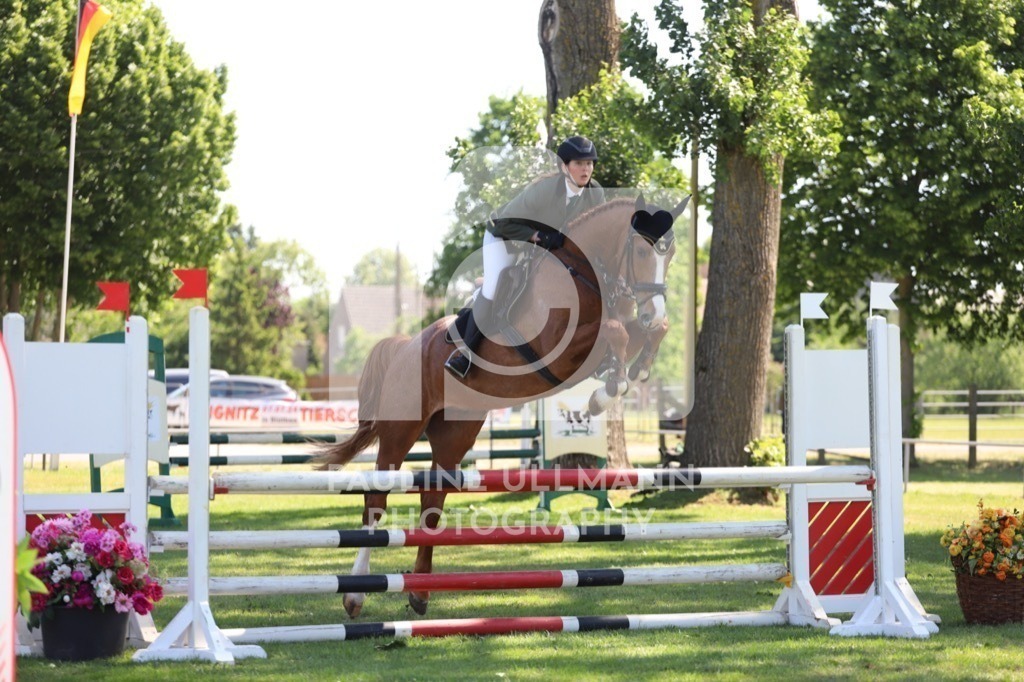 IMG_6083 | Pauline Ullmann Photography - Realisiert mit Pictrs.com