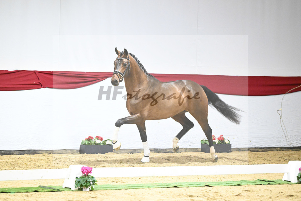 Kat-Nr. 60 v. Valverde_Schoenland_63221817 | hf-fotografie - Realizzato con Pictrs.com