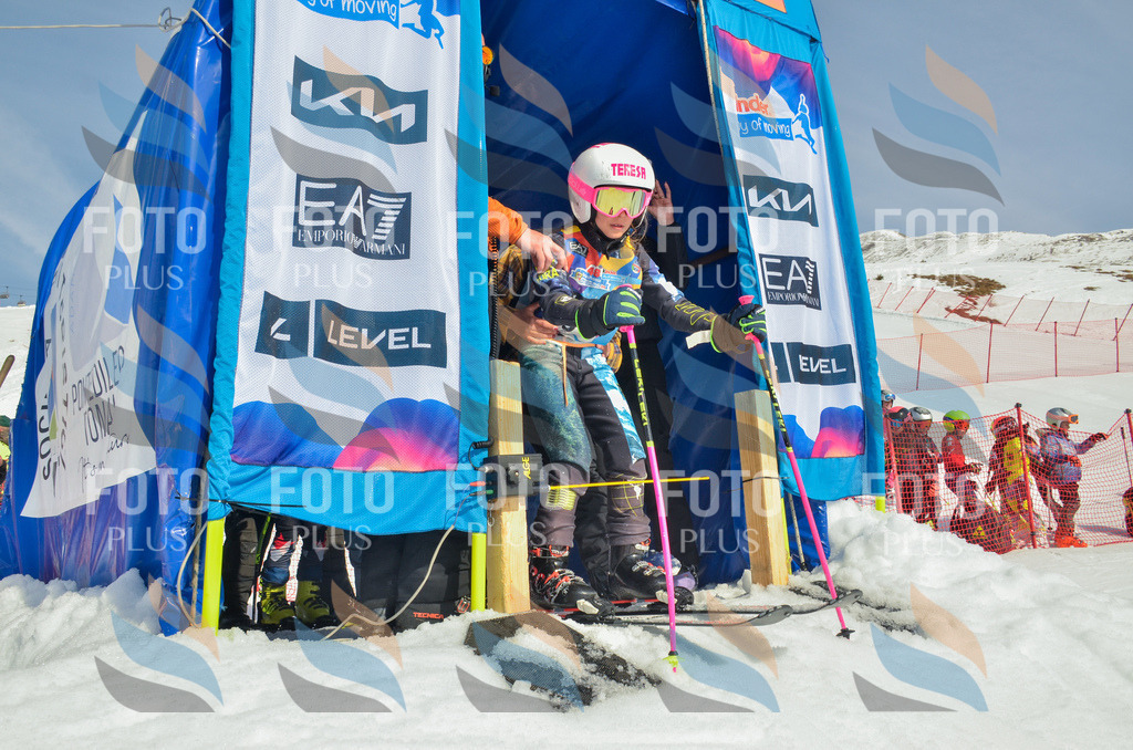 _ELE4422 | holidayphoto