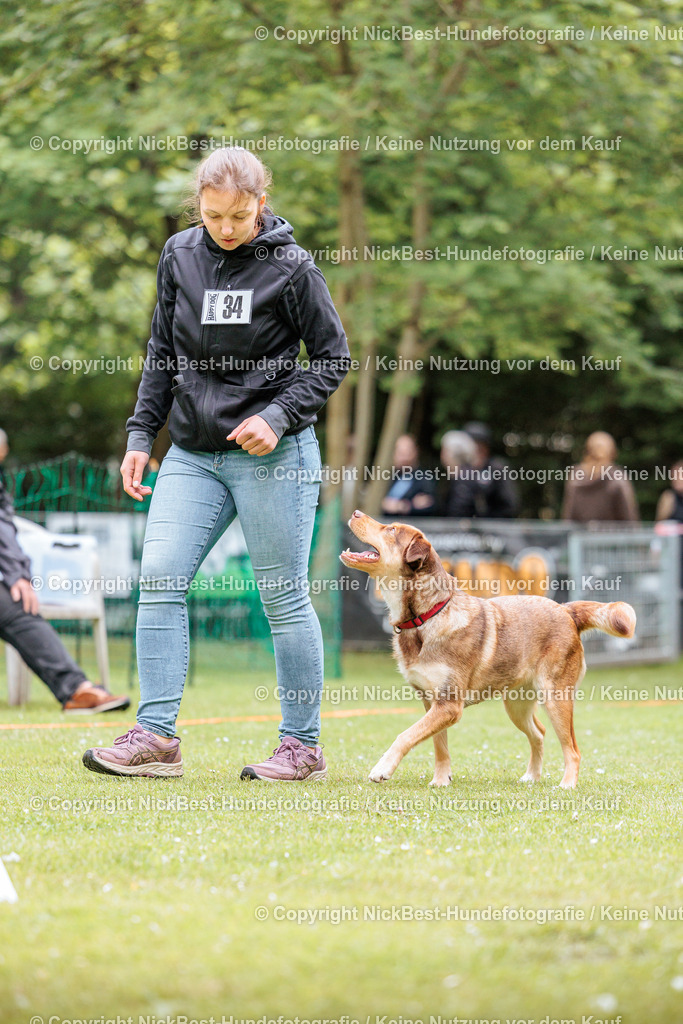 RO-Blumenthal-2026-Nickbest-Hundefotografie-2803 | Dein Hund! Dein Moment! Deine Erinnerungen! Hundefotografie in Bremen Blumenthal. Ich fange die besonderen Momente deines Vierbeiners ein – ob Indoor mit Blitzanlage oder in der freien Natur. Sicher dir dein Moment und dein Termin für eure Erinnerungen.