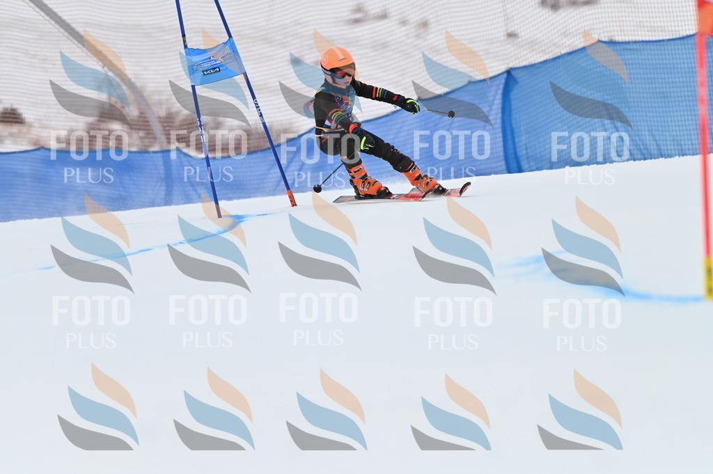 BGV_9878 | holidayphoto