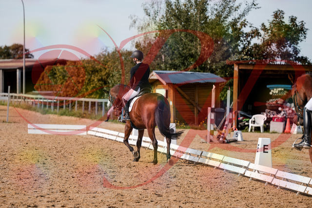 2026_10_03_Siefer-Hof_131017_Z63_72559511 | Professionelle Reitsport-, Turnier- und Eventfotografie von Robert Broda. Galerien mit ausgewählten und bearbeiteten Bildern direkt online ansehen und bestellen.