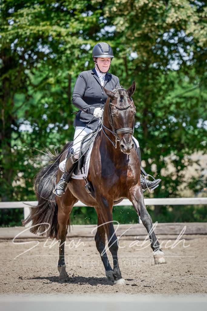 20250621-_3LI7992 | Tierfotografie Pferde, Hunde, Katzen, Haustiere.
Turnierfotografie Reitturniere, Reiten, Springreiten, Dressur in Hanau, dem Main-Kinzig-Kreis und dem Rhein-Main- Gebiet um Frankfurt