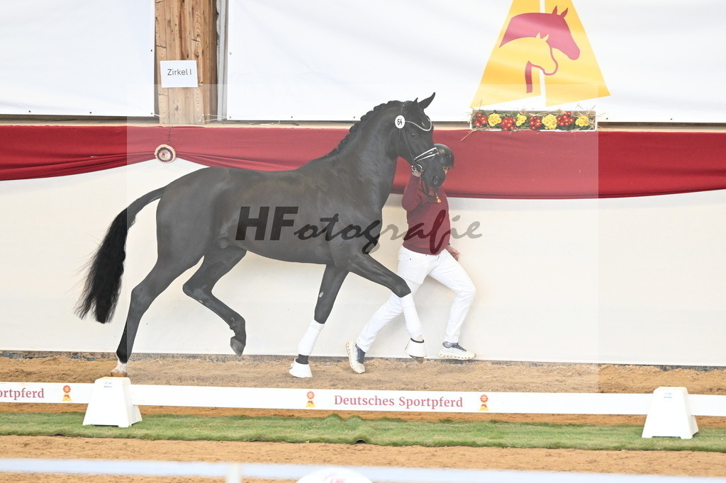 Kat.-Nr. 64 v. Fürst Samarant_Beckmann_3260922 | hf-fotografie - Realizzato con Pictrs.com