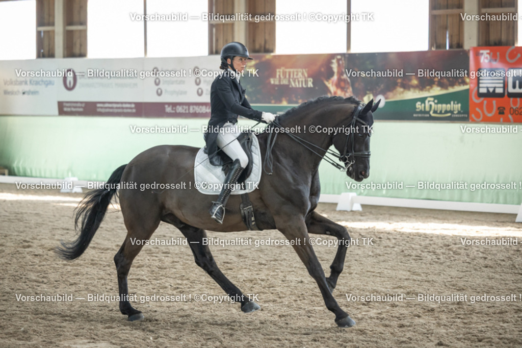 _D5A0350 | Emotionale Pferde- & People-Fotografie rund um Heidelberg, Leimen & Umgebung. Natürliche Fotos von Pferd, Mensch & Familie. Jetzt Termin sichern!