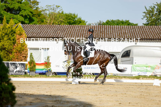 _62_2351 | larahueckfotografie