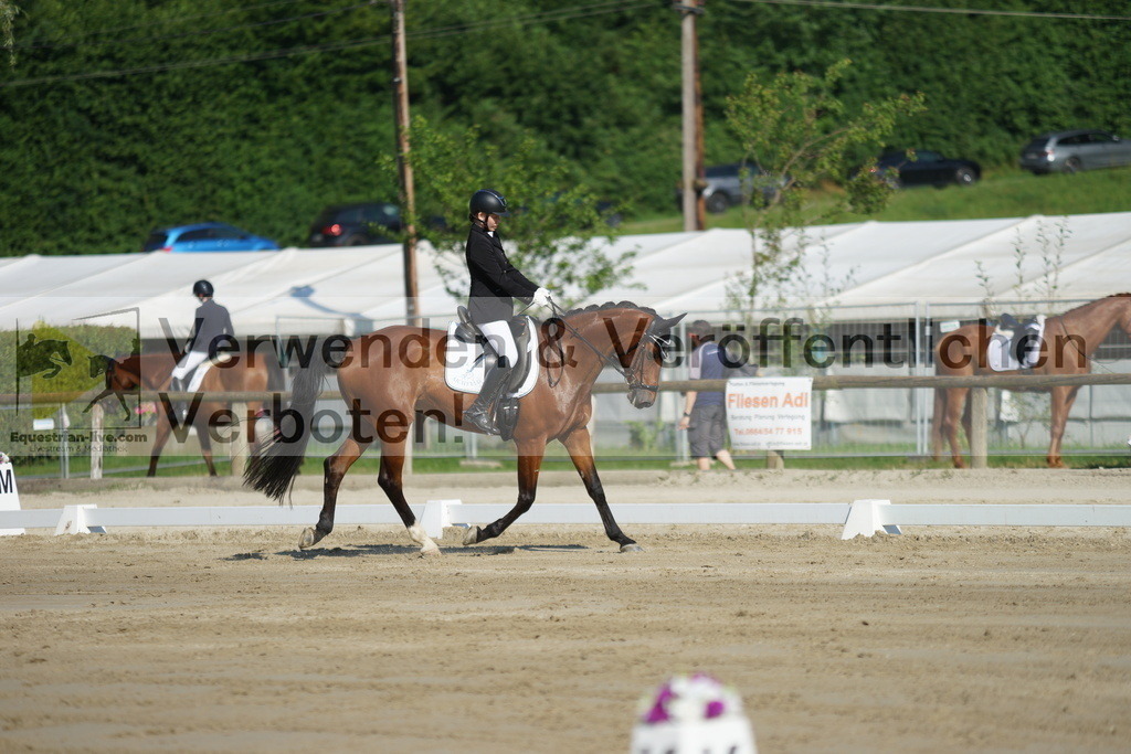 DSC04031 | equestrian-live-com