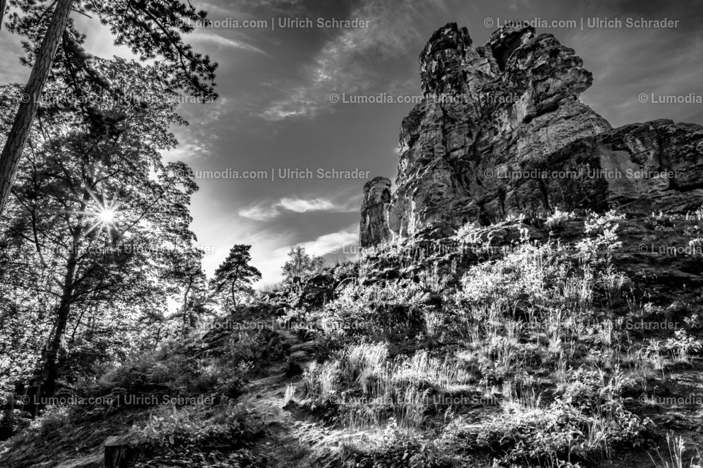 10049-12871 - Klusberge bei Halberstadt | Stockfoto und Bilderpool mit Bildmaterial aus Deutschland, dem Harz, Halberstadt, Quedlinburg, Wernigerode und weltweit. Qualitativ hochwertige und professionelle Fotos anschauen und kaufen. - Realisiert mit Pictrs.com