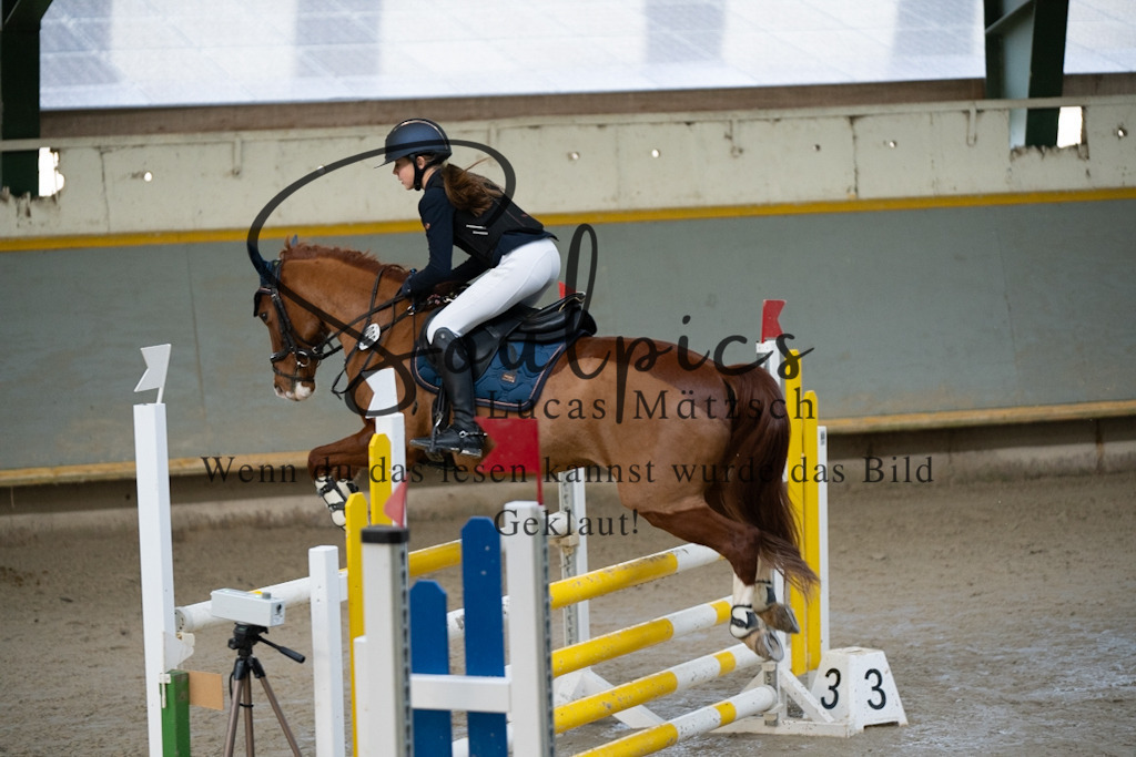 A7V01588 | Pferdefotograf