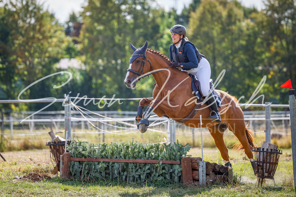 20250905-_3LI1170 | Tierfotografie Pferde, Hunde, Katzen, Haustiere.
Turnierfotografie Reitturniere, Reiten, Springreiten, Dressur in Hanau, dem Main-Kinzig-Kreis und dem Rhein-Main- Gebiet um Frankfurt
