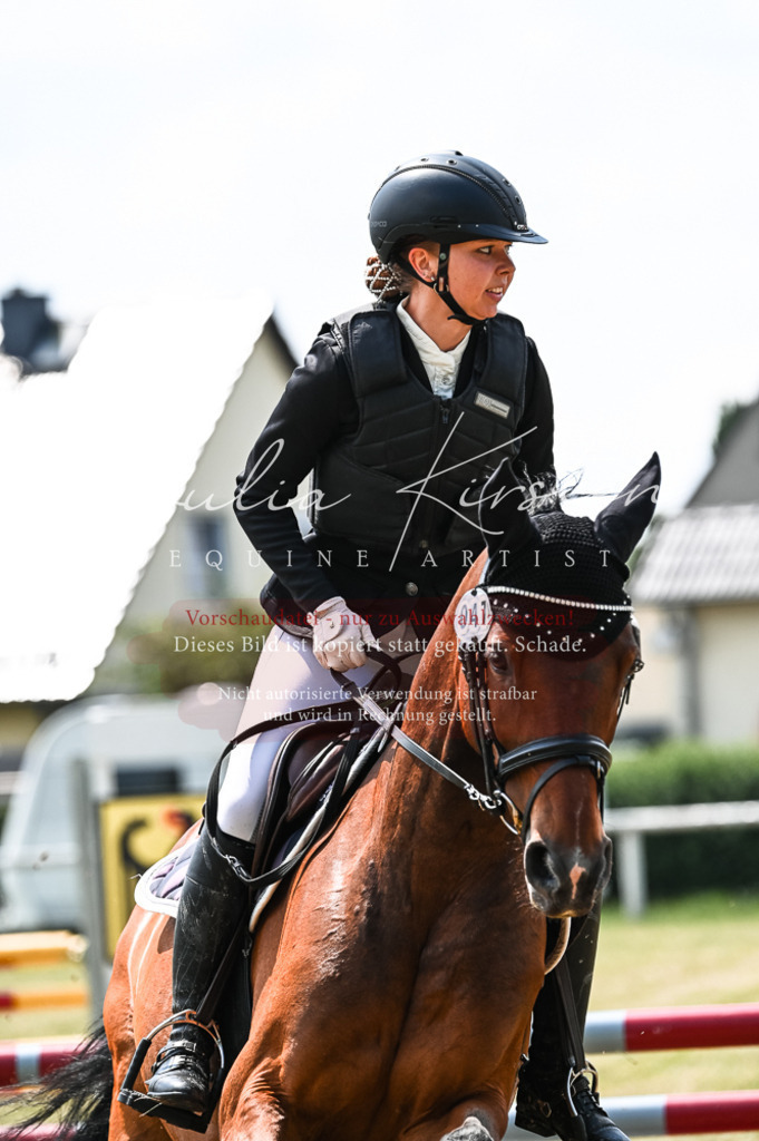 DSC_9477 | Pferde- und Turnierfotografie in Westsachsen. Pferdeportraits, Auftragszeichnungen und intuitive Kunst.