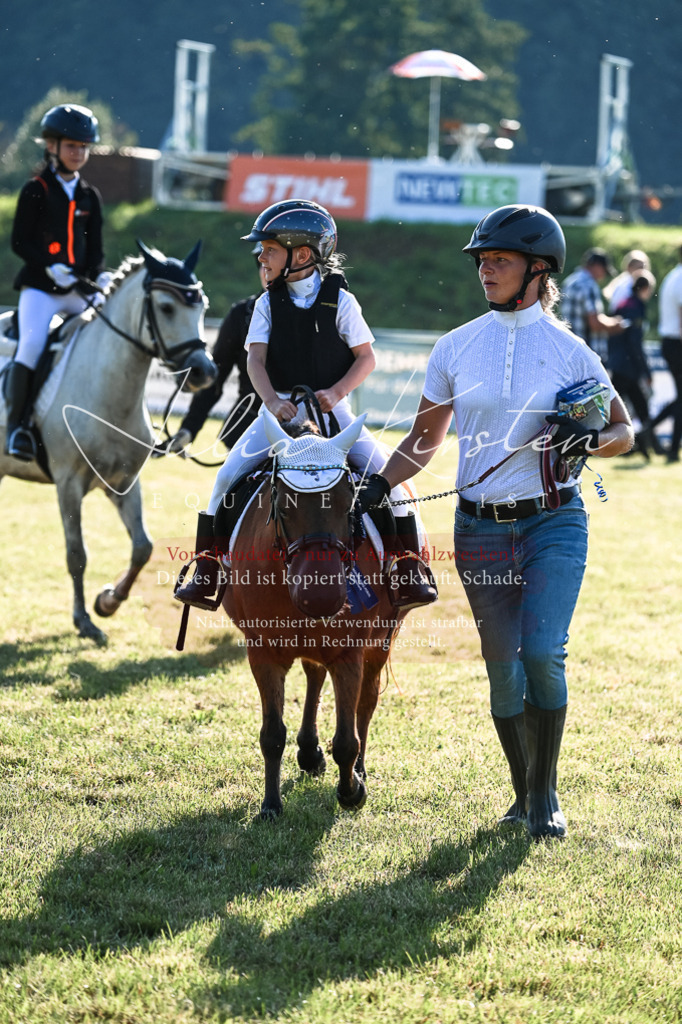 DSC_0536 | Pferde- und Turnierfotografie in Westsachsen. Pferdeportraits, Auftragszeichnungen und intuitive Kunst.