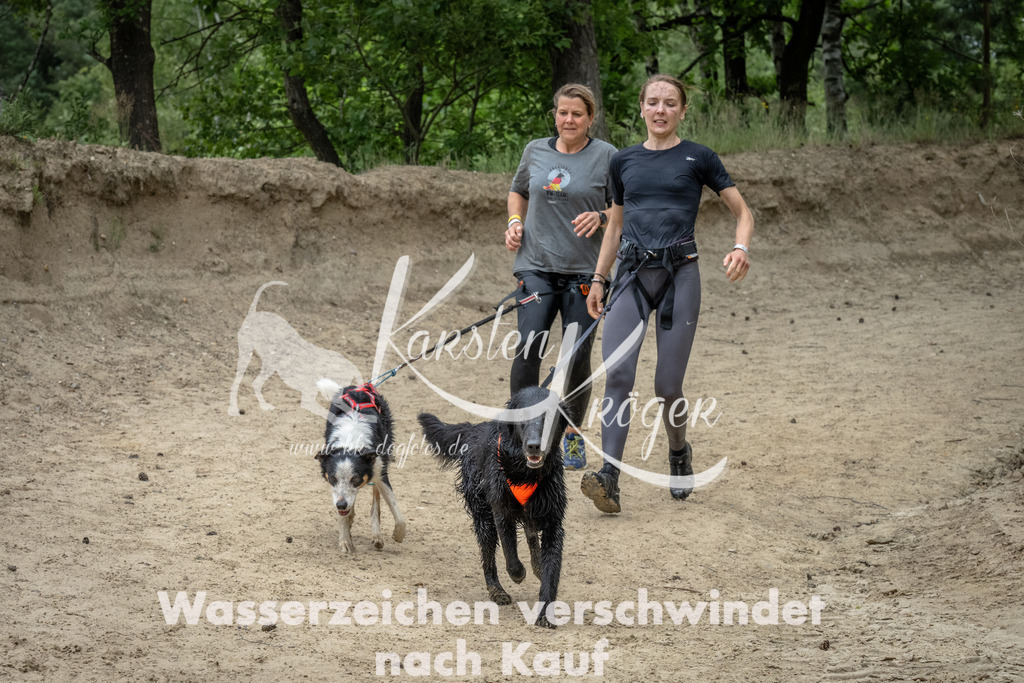 1555_ZZ99384 | kk-dogfotos