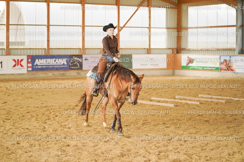 DSC04698 | Pferdegrafie