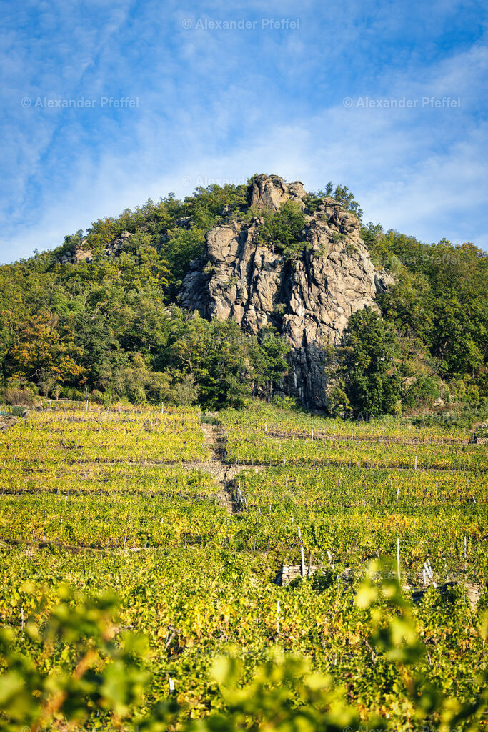 foto_c_pfeffel-partner-0050-R52_5822-Bearbeitet | alexander-pfeffel - Realisiert mit Pictrs.com