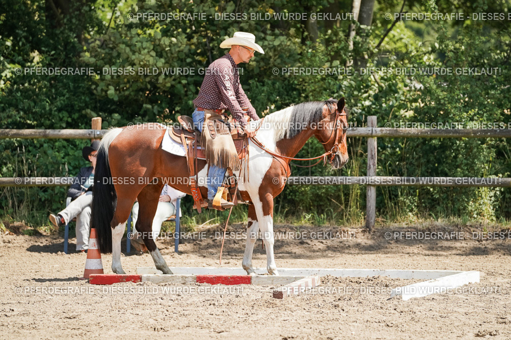 DSC07456 | Pferdegrafie