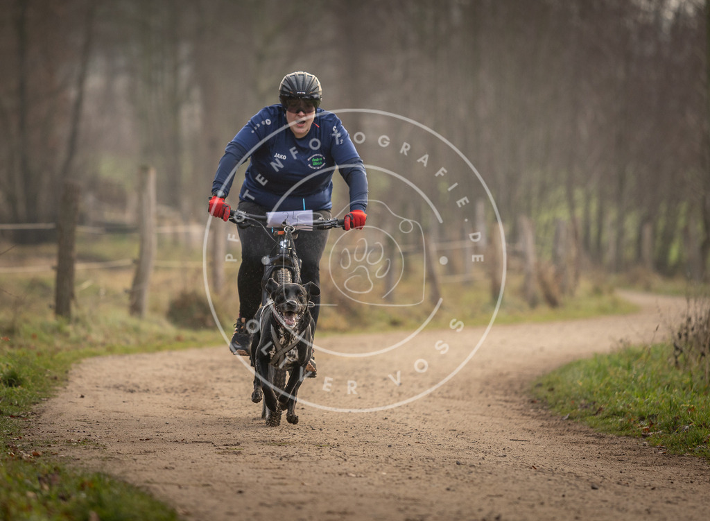 Pfotenfotografie_DV3A2013 | Hundefotografie, Tierfotograf, Pfotenfotografie, Fotoshooting Hund, Hunde Portrait, Hundesport, Hundeportraits, Heideshooting, Hunde, Sportfotograf, Hundefotograf, Turnierhundsport, THS,  - Realisiert mit Pictrs.com