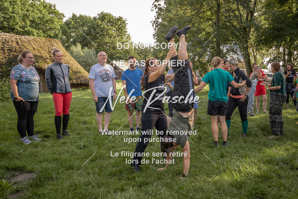 nelerasche_DoN_221 | nelerasche