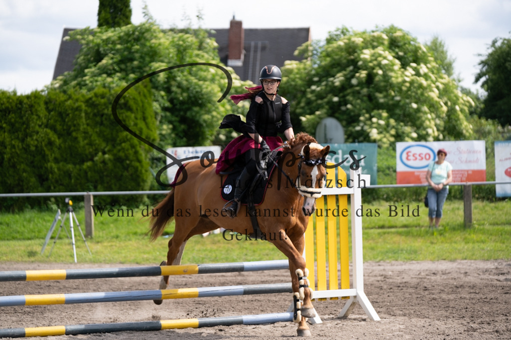 A7V04629 | Pferdefotograf