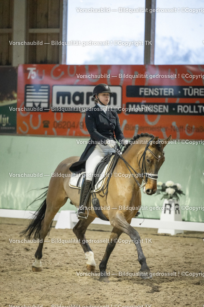 _D5A7176 | Emotionale Pferde- & People-Fotografie rund um Heidelberg, Leimen & Umgebung. Natürliche Fotos von Pferd, Mensch & Familie. Jetzt Termin sichern!