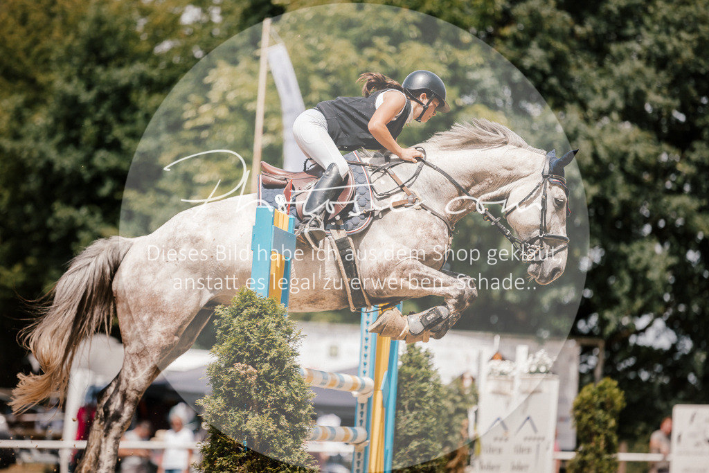 3I6A7848 | Stimmungsvolle Portraits und Reitsportfotografie im Ruhrgebiet und im Münsterland.

Pferdefotografie, Hundefotografie, Tierfotografie, Reportagen, Portraits von Tier und Mensch, Turnierfotografie in Bochum, Recklinghausen, Marl, Haltern am See, Dülmen.. - Realisiert mit Pictrs.com