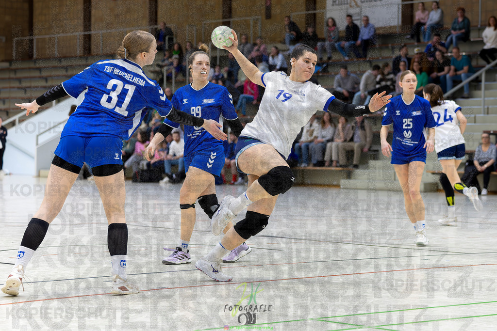 Frauen Bezirksliga, TSF Heuchelheim - HSG Pohlheim | Frauen Bezirksliga, TSF Heuchelheim - HSG Pohlheim am 01.03.2026 in Heuchelheim (Sporthalle Heuchelheim)Photo © 2026 - Jörg Heinrich - Realisiert mit Pictrs.com
