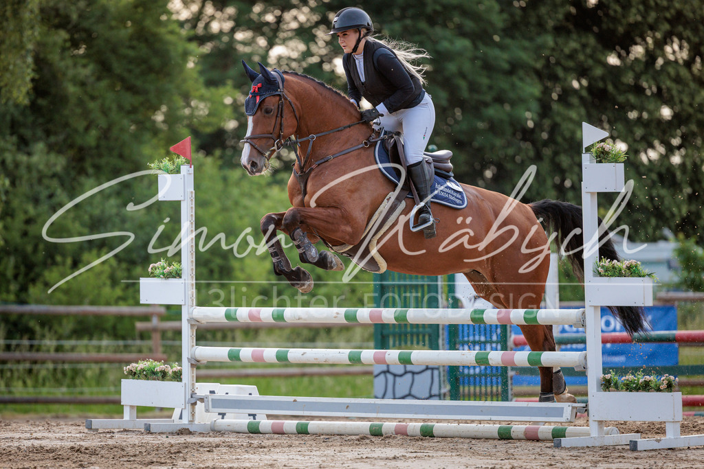 20260529-_3LI1550 | Tierfotografie Pferde, Hunde, Katzen, Haustiere.
Turnierfotografie Reitturniere, Reiten, Springreiten, Dressur in Hanau, dem Main-Kinzig-Kreis und dem Rhein-Main- Gebiet um Frankfurt