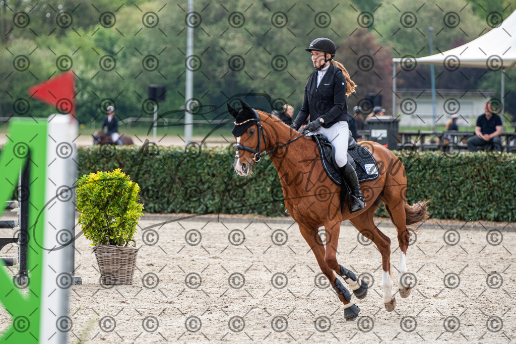 KPT_2067 | andre_photographic