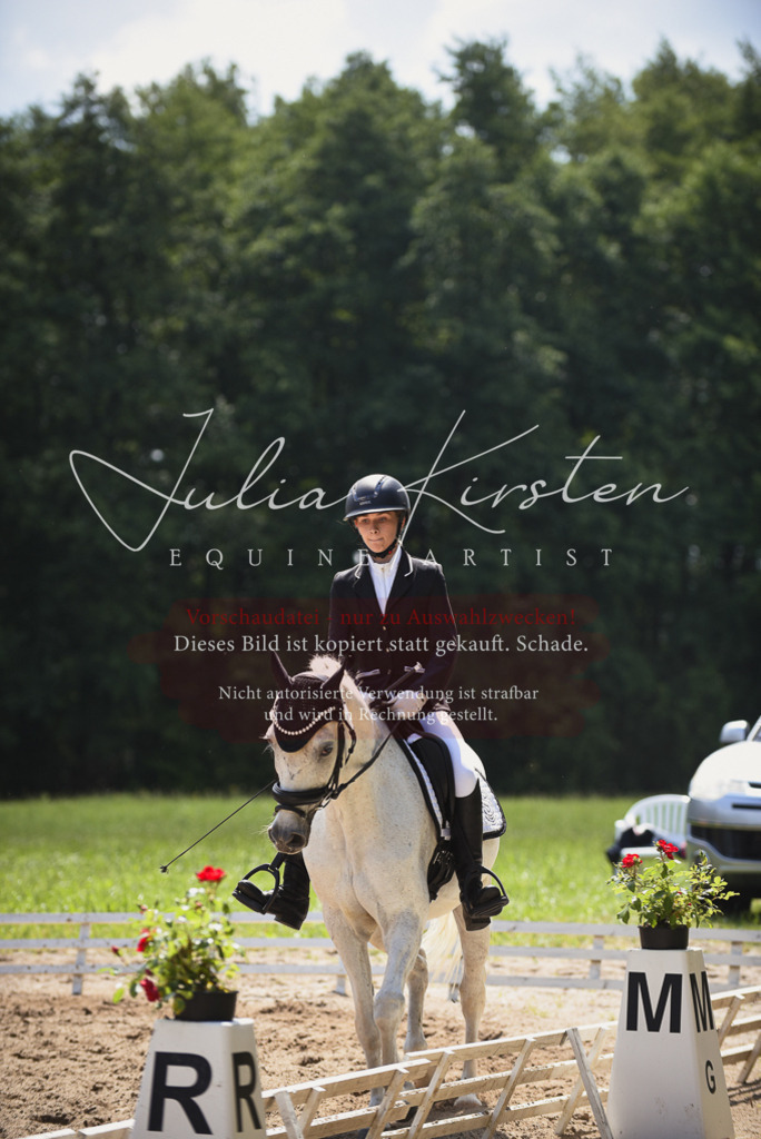 DSC_1110 | Pferde- und Turnierfotografie in Westsachsen. Pferdeportraits, Auftragszeichnungen und intuitive Kunst.