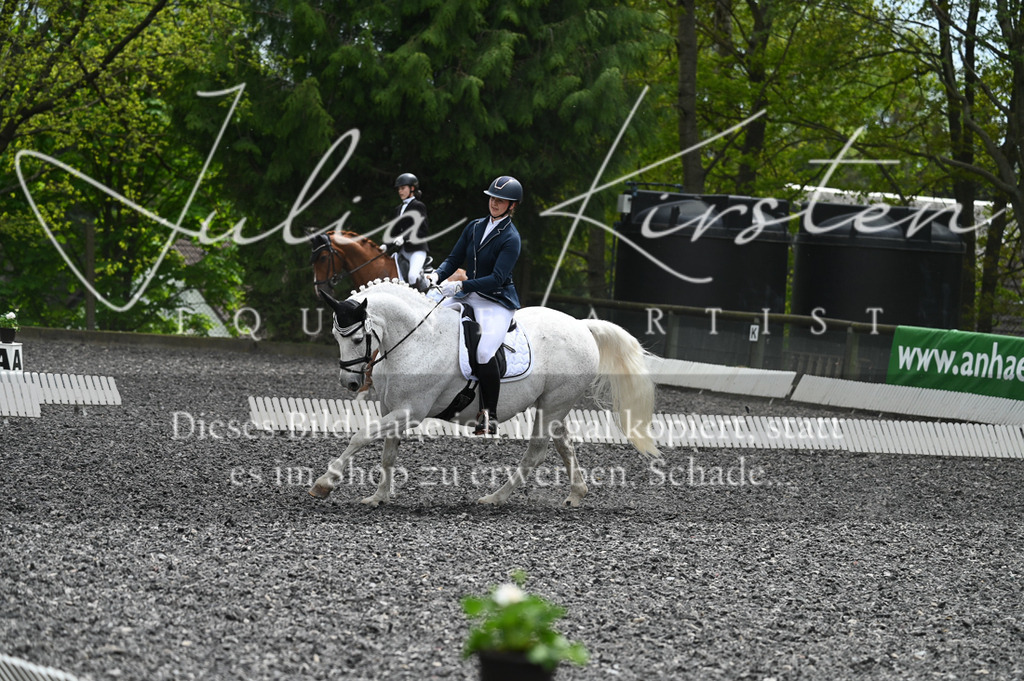 20230512_JK-Röhrsdorf-07-212 | Pferde- und Turnierfotografie in Westsachsen. Pferdeportraits, Auftragszeichnungen und intuitive Kunst.
