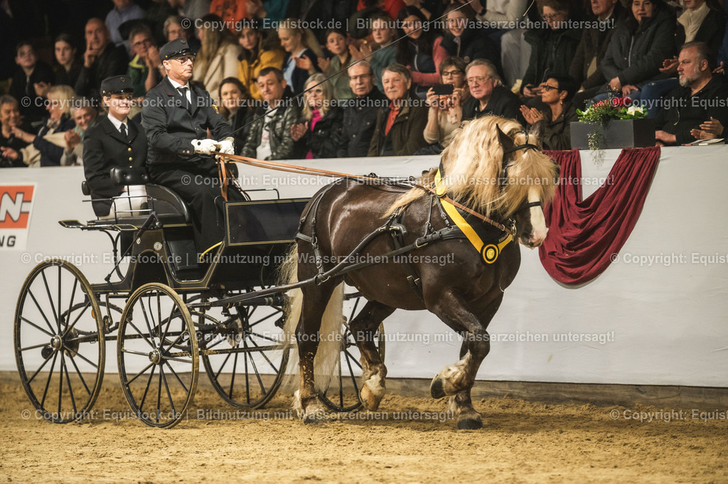 20240302_Hengstvorstellung_Marbach_TOMsPiC_0671-2 | equistock