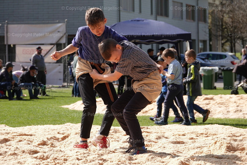 DSC00411 | Schwingen - Realisiert mit Pictrs.com