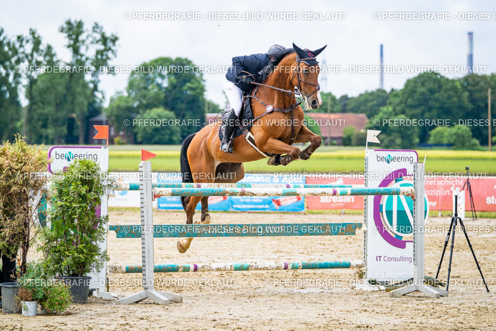 DSC03992 | Pferdegrafie