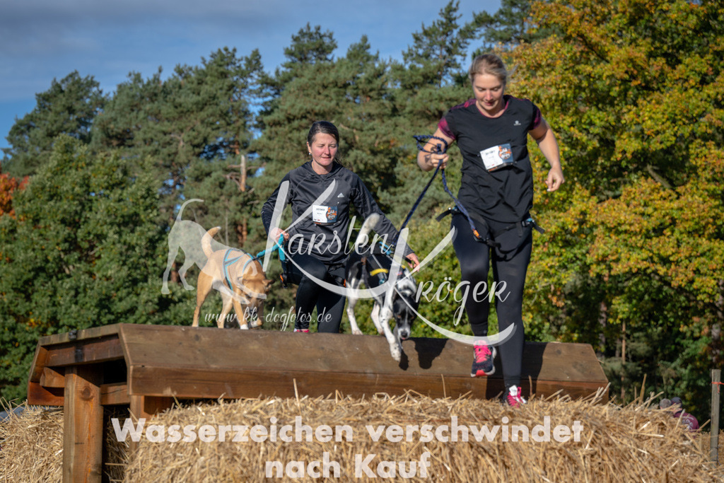 1001_ZZ91956 | kk-dogfotos