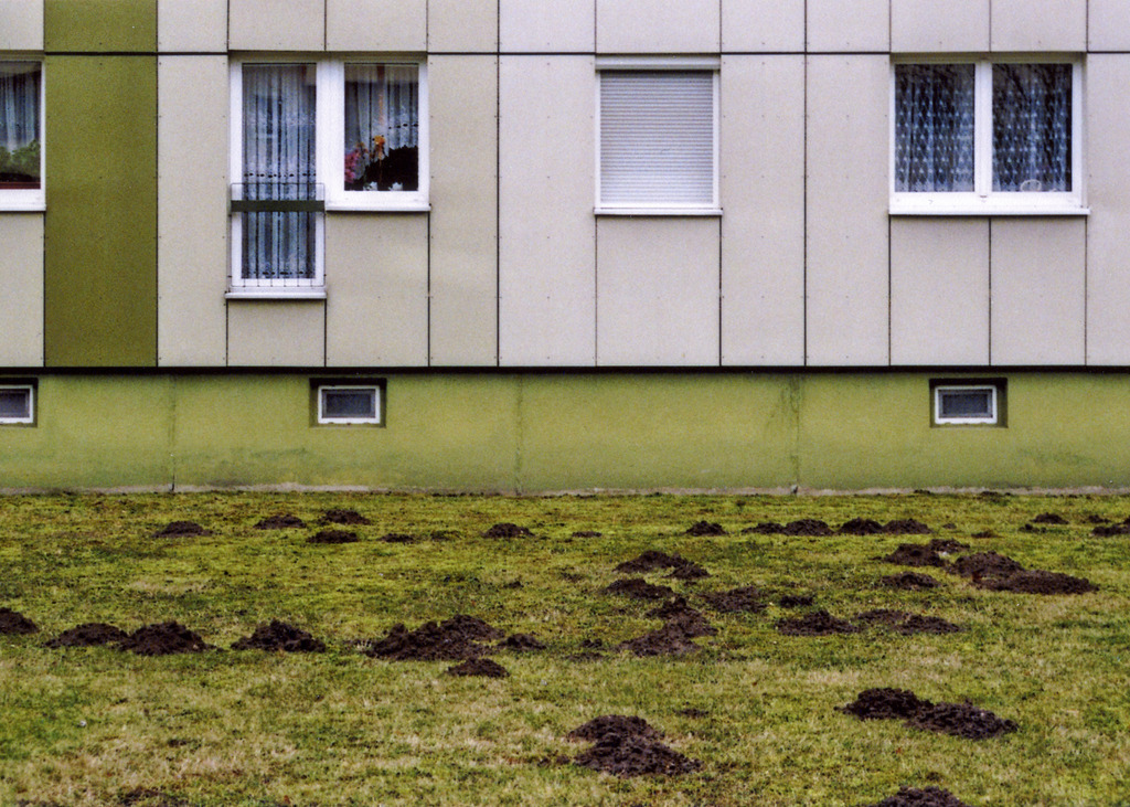 Leipzig Schönefeld-Ost | Grünfläche - Realisiert mit Pictrs.com