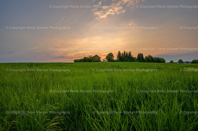 NZ6_8117 | Hochzeiten, Familien, Paare, Portraits, Kinder, Shooting, Bad-Neuenahr, Ahrweiler, Bonn, Meckenheim, Fotograf, Grafschaft - Realisiert mit Pictrs.com